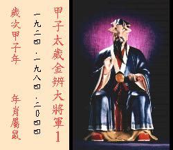 金辨大將軍|金辨大將軍:簡介,人物,